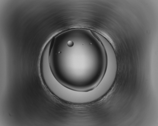 X0000093251138200710101435