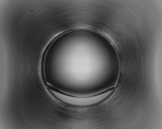 X0000093251139200710101436