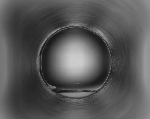 X0000093251140200710101436