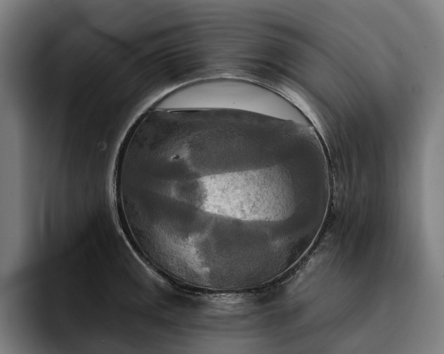 X0000093251141200710101436