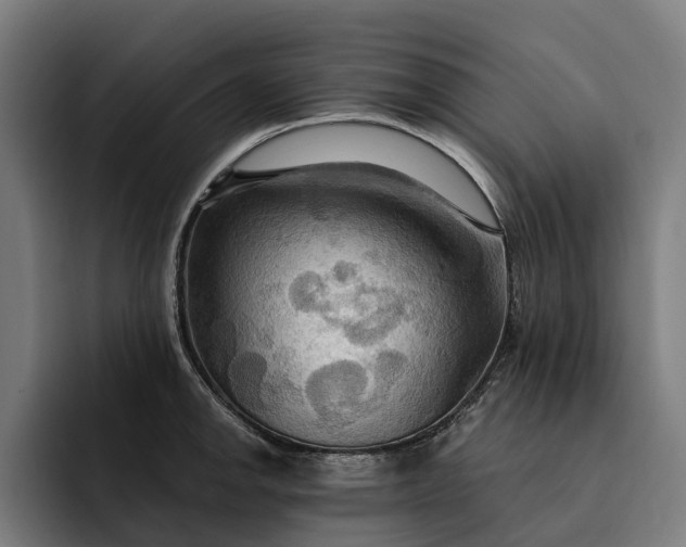 X0000093251142200710101436