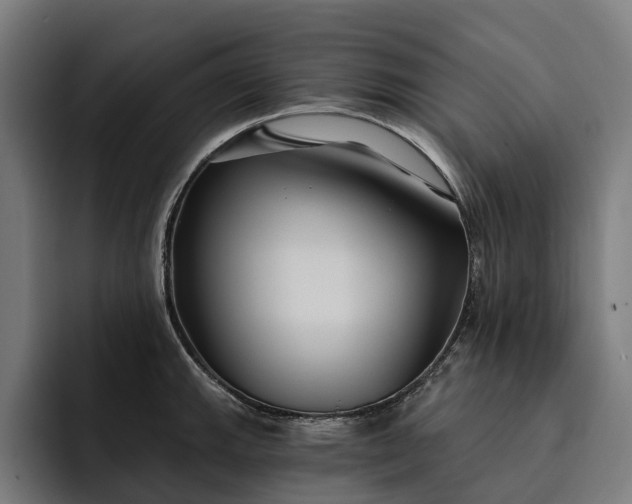 X0000093251143200710101436