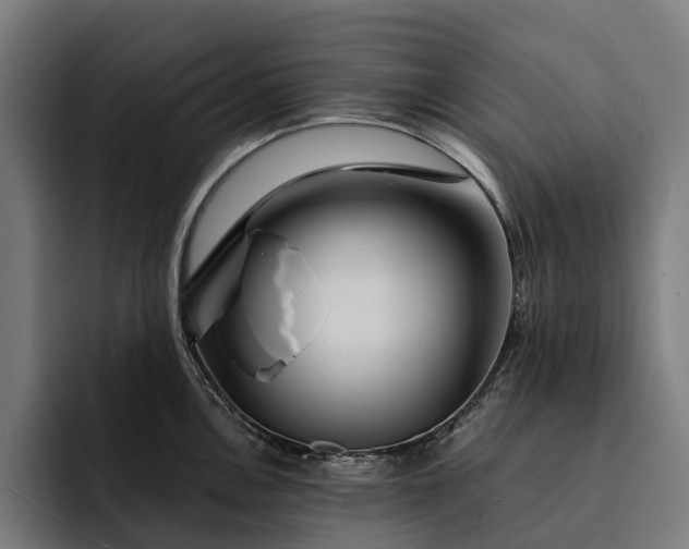 X0000093251146200710101436