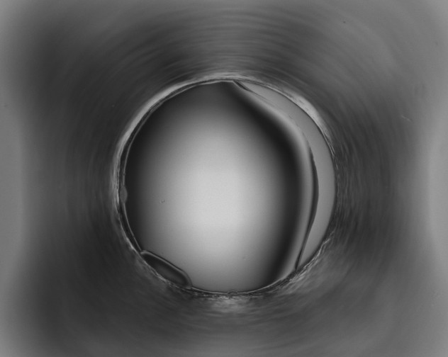 X0000093251148200710101436