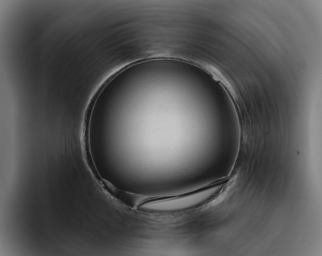 X0000093251149200710101436