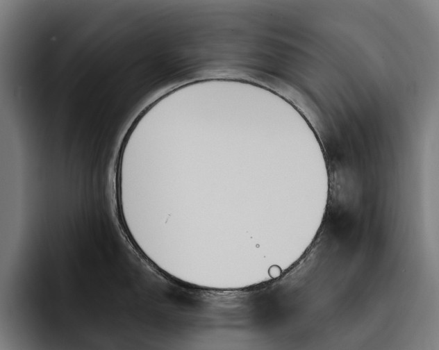 X0000093251150200710101436