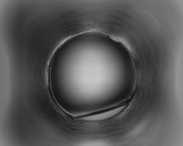 X0000093251151200710101436