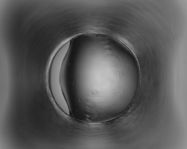 X0000093251152200710101436