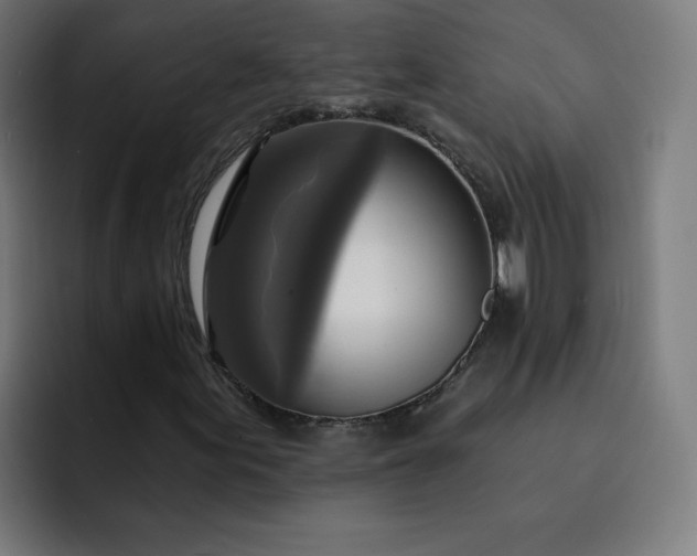 X0000093251155200710101435