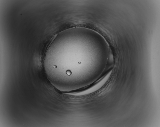 X0000093251156200710101435