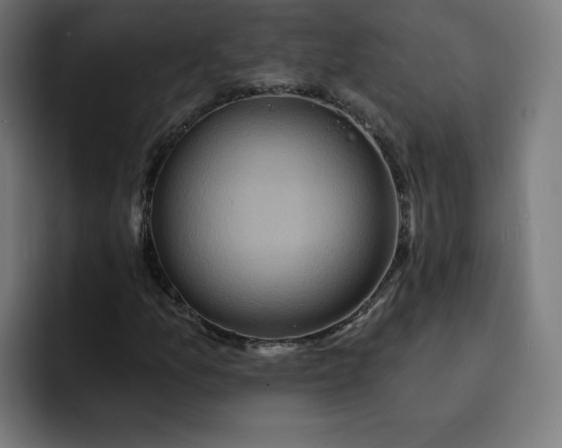 X0000093251157200710101435