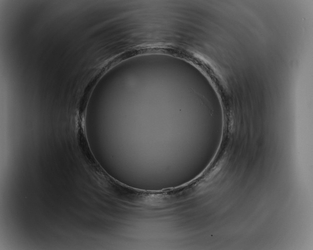 X0000093251161200710101435