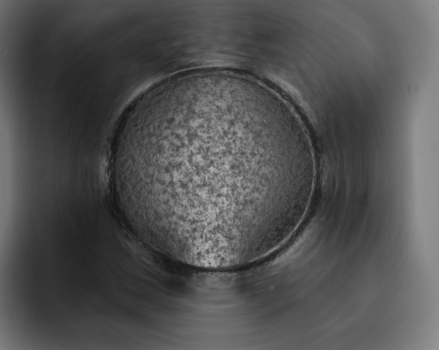 X0000093251163200710101435