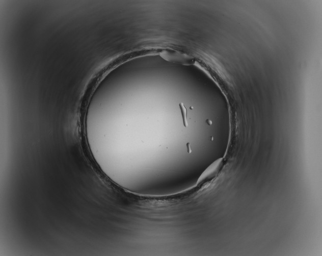 X0000093251164200710101435