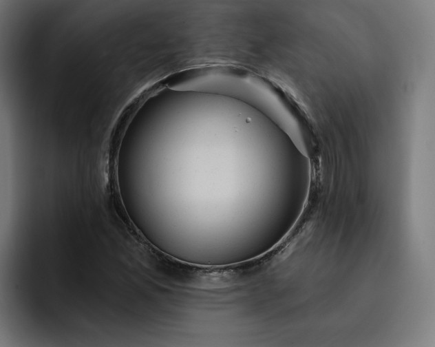 X0000093251165200710101435