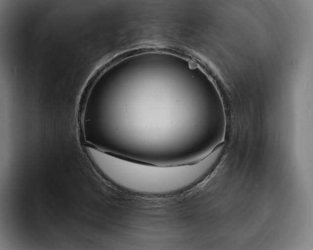 X0000093251168200710101435