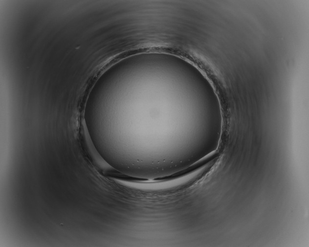 X0000093251169200710101435