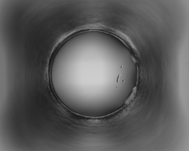 X0000093251176200710101435