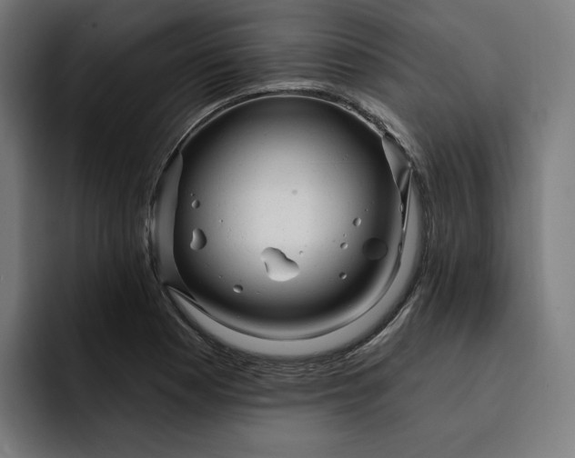 X0000093251177200710101435