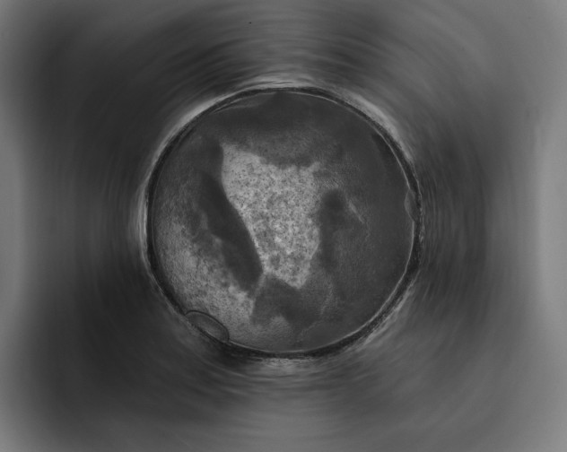 X0000093251179200710101435