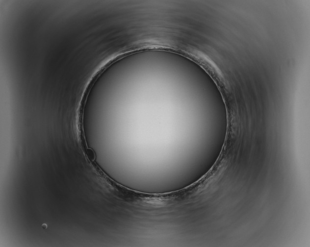 X0000093251182200710101435