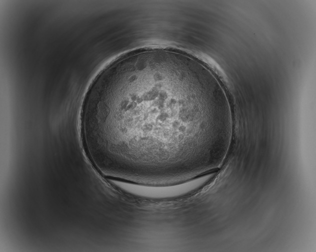 X0000093251183200710101435