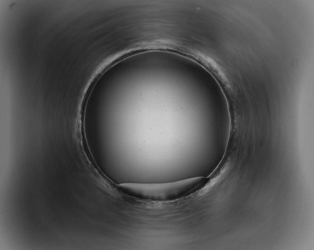 X0000093251184200710101435