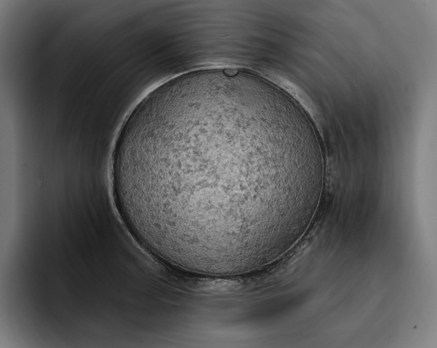 X0000093251187200710101435