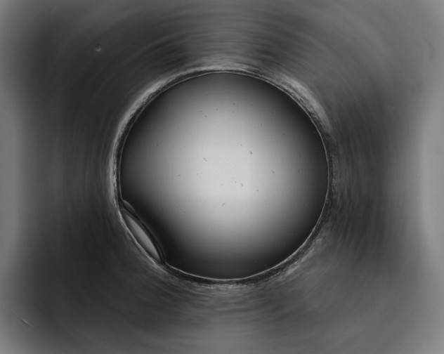 X0000093251188200710101435