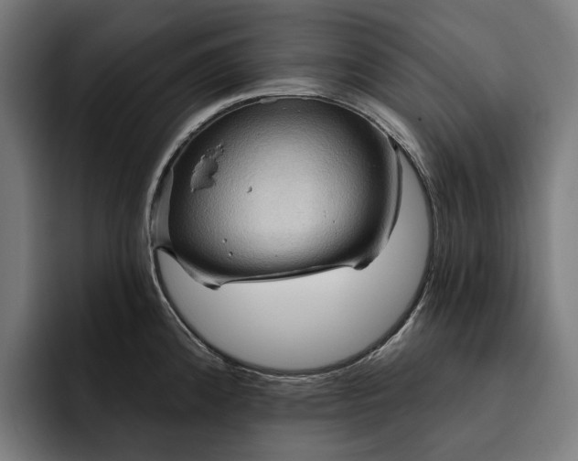 X0000093251192200710101435