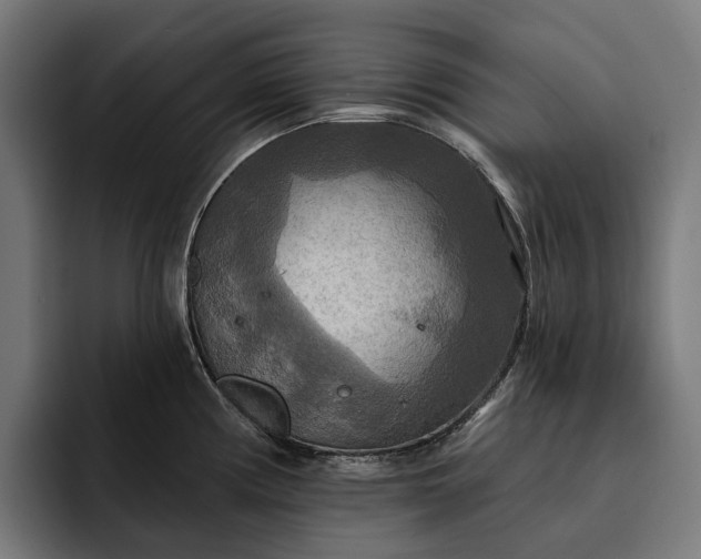 X0000093251194200710101435