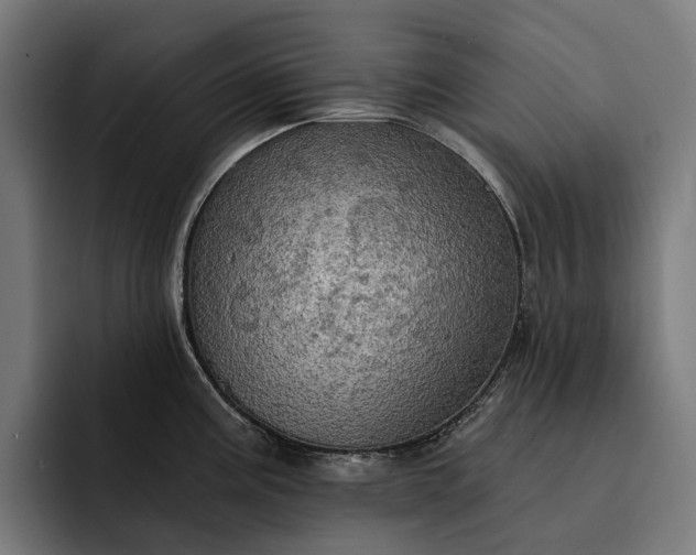 X0000093251195200710101435