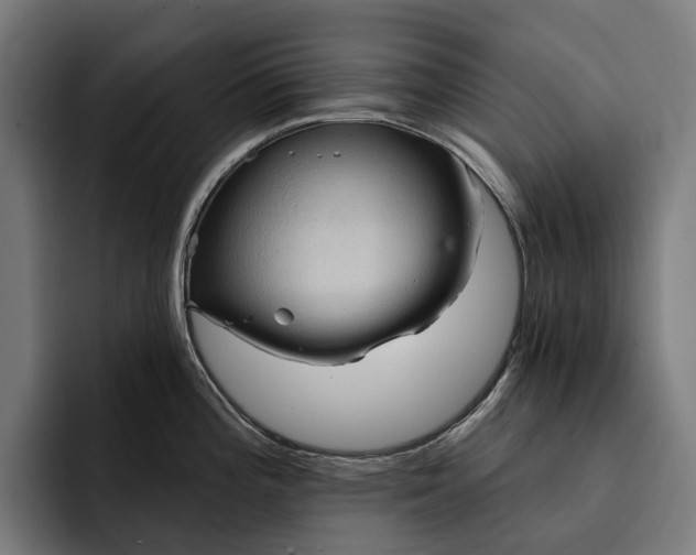 X0000093251196200710101435