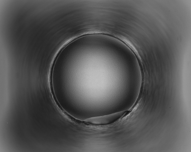 X0000093251197200710101435