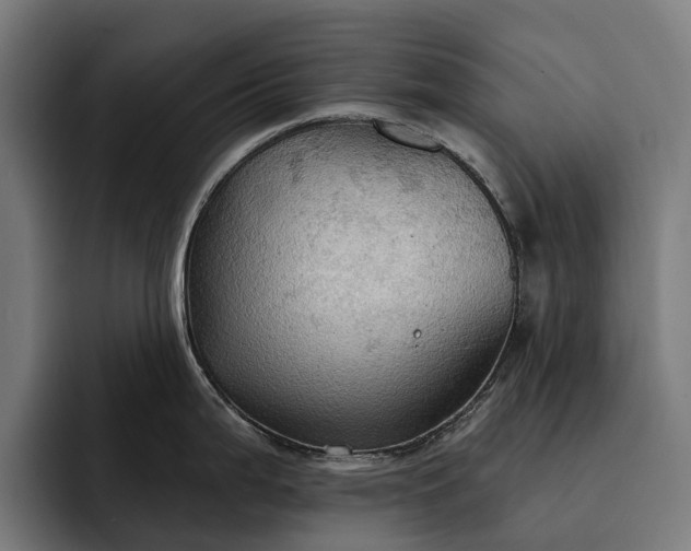 X0000093251199200710101435