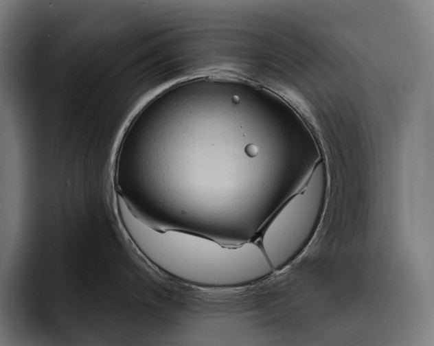 X0000093251200200710101435