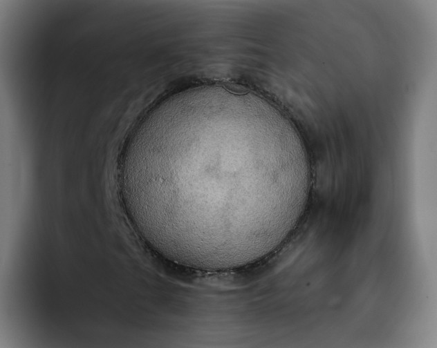 X0000093251201200710101434