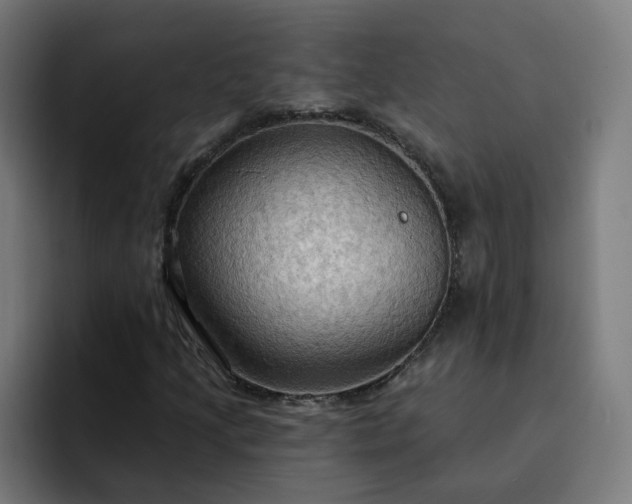 X0000093251205200710101434