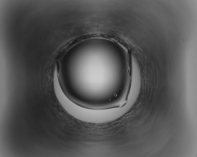 X0000093251206200710101434