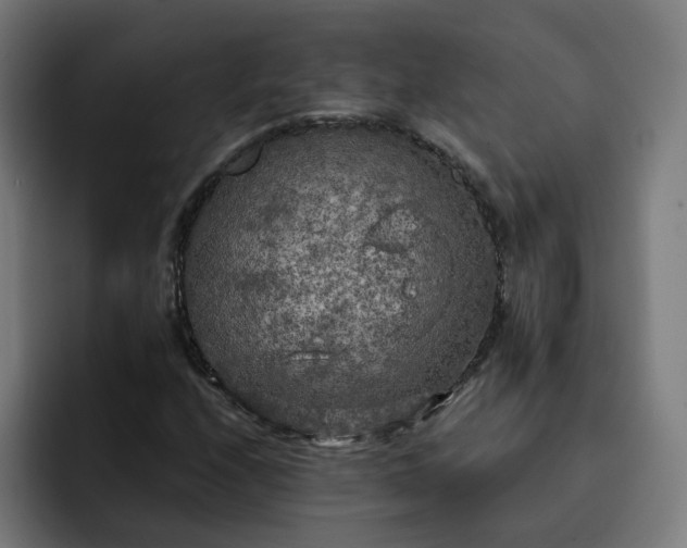 X0000093251208200710101434