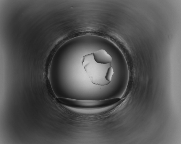 X0000093251210200710101434