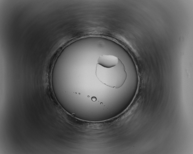 X0000093251211200710101434