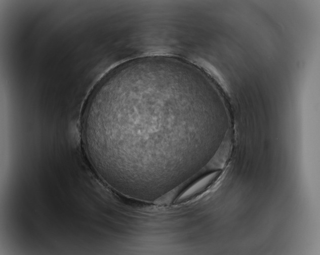 X0000093251212200710101434