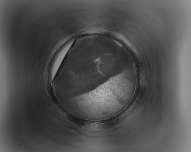 X0000093251213200710101434