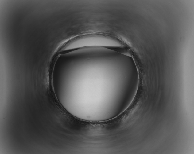 X0000093251214200710101434