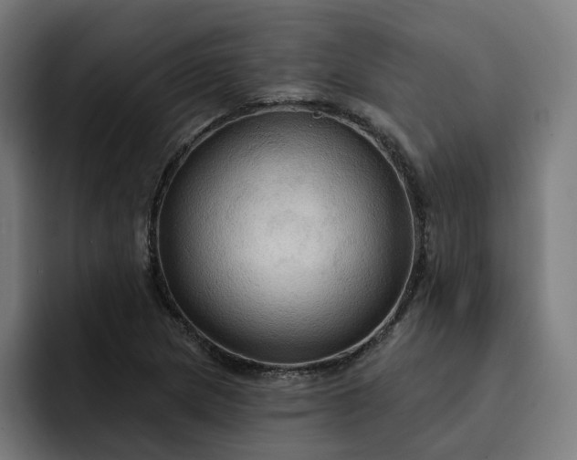 X0000093251217200710101434