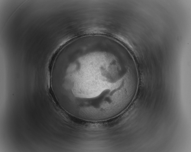 X0000093251219200710101434