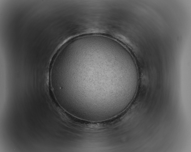 X0000093251220200710101434