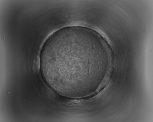 X0000093251224200710101434