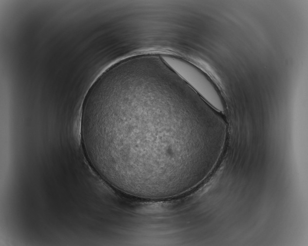 X0000093251228200710101434